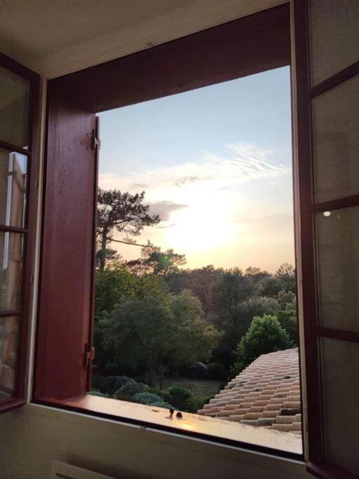 Arcachon Appartement 4 Personnes - Residence Beausejour Kültér fotó